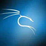 comment utiliser kali linux et maitriser lart du hacking ethique